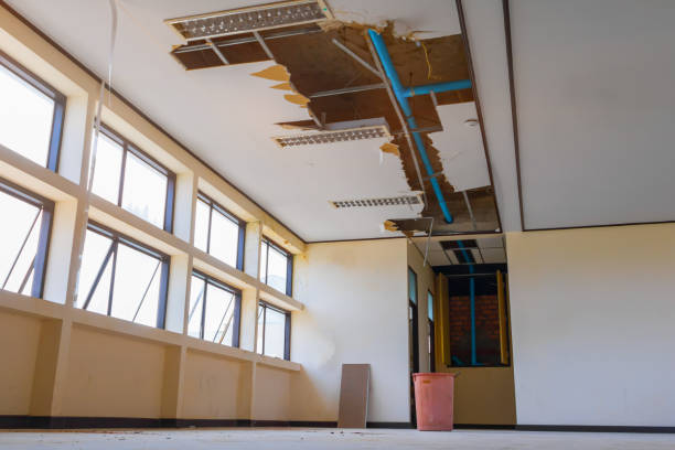 Best Water damage contractors near me  in Window Rock, AZ