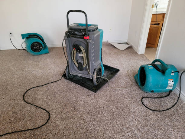 Water damage restoration process in AZ
