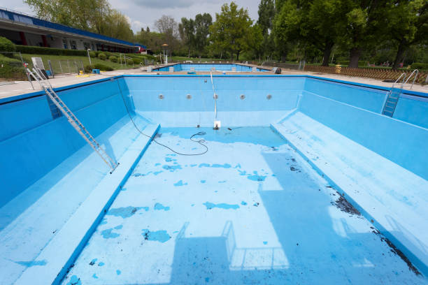 Best Water damage restoration insurance claims  in Window Rock, AZ