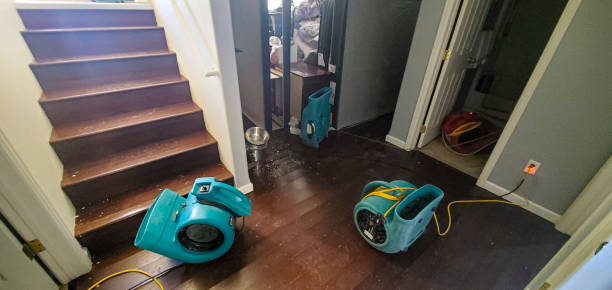 Best 24-hour water damage restoration  in Window Rock, AZ