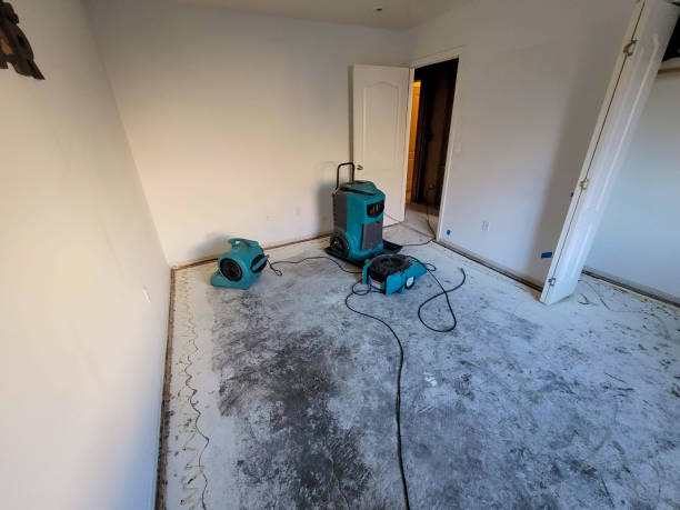 Best Local water damage restoration  in Window Rock, AZ