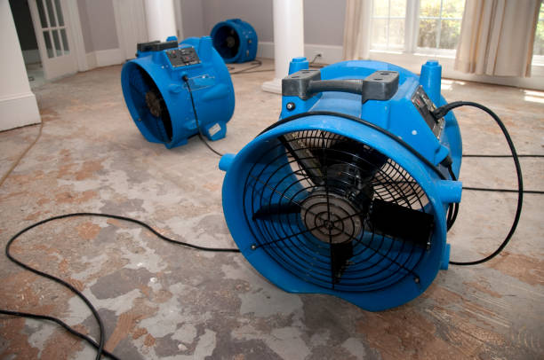 Best Fire Damage Restoration  in Window Rock, AZ