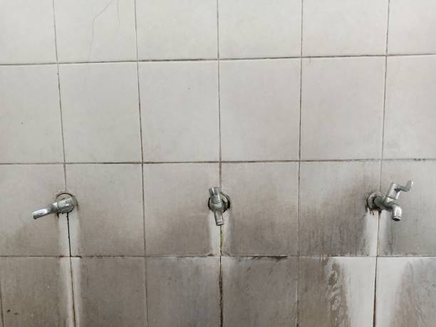 Best Local water damage restoration  in Window Rock, AZ