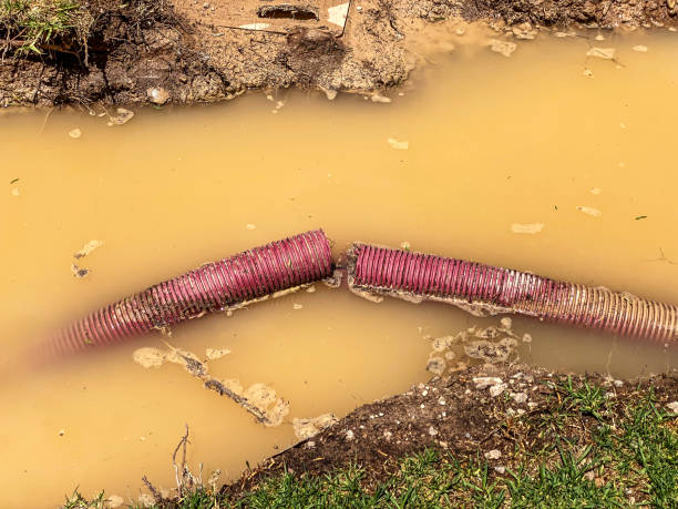  Window Rock, AZ Water damage restoration Pros